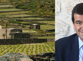 vigneto-cartanbellotta