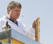 Carlo Amodeo, apicoltore