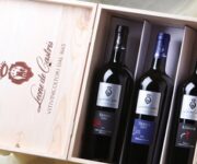 vini_leone_de_castris