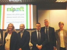 per_art_strade_del_vino