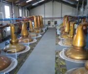 distillatore_corretto