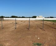 furti_vigneti_primitivo_2