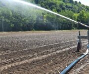 irrigazione_di_soccorso