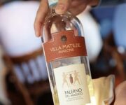 Falerno_del_Massico_bianco_doc