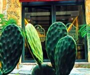 la_pizzeria_siciliana