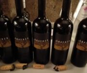 282107890_508584344344953_3951814465151087462_n