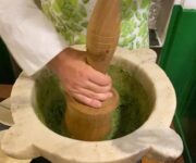 WhatsApp_Image_2022-06-22_at_222124_2