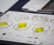 degustazione_masterclass_olio_3
