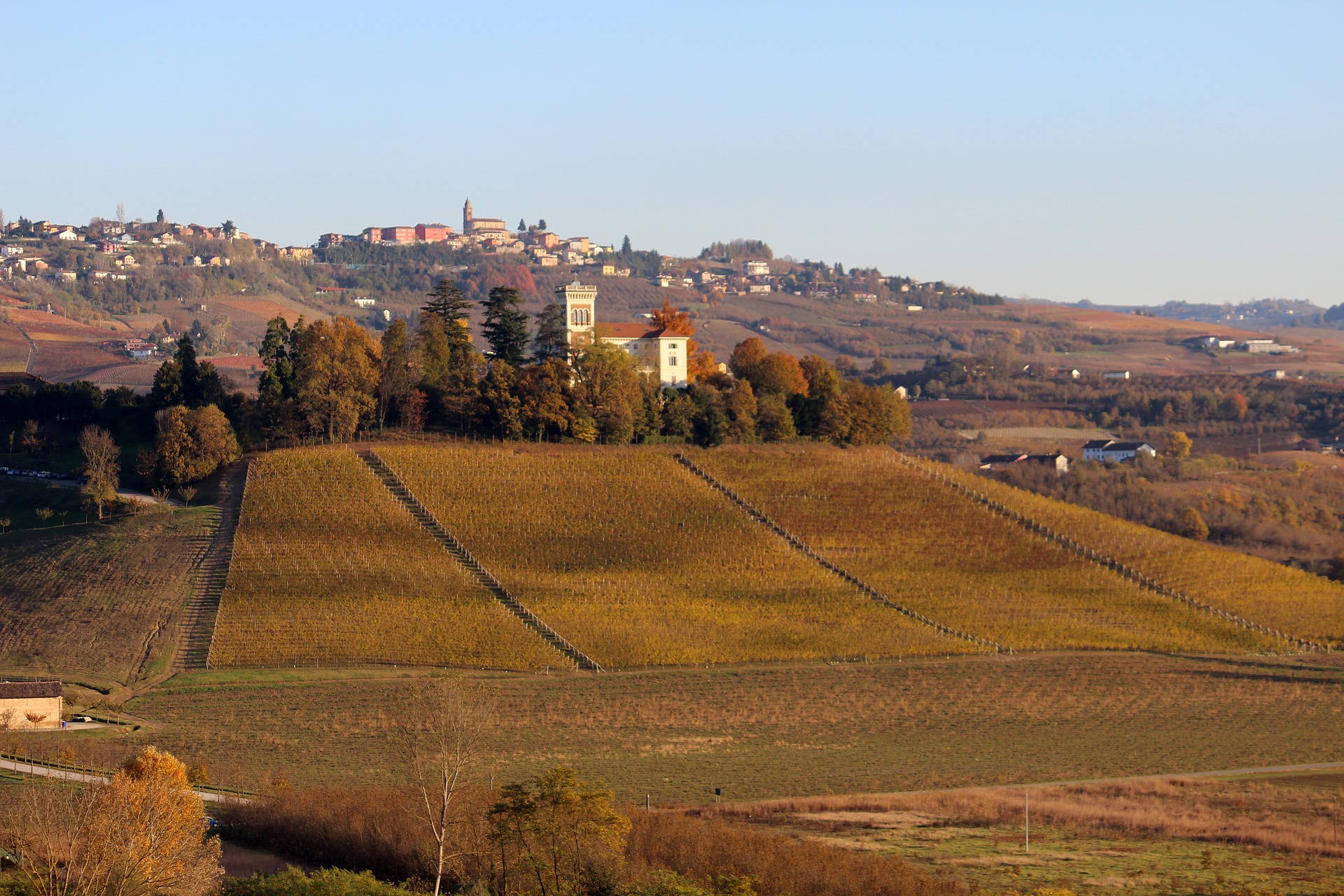 Barolo, sulle Langhe – ph Max Candela, Pixabay