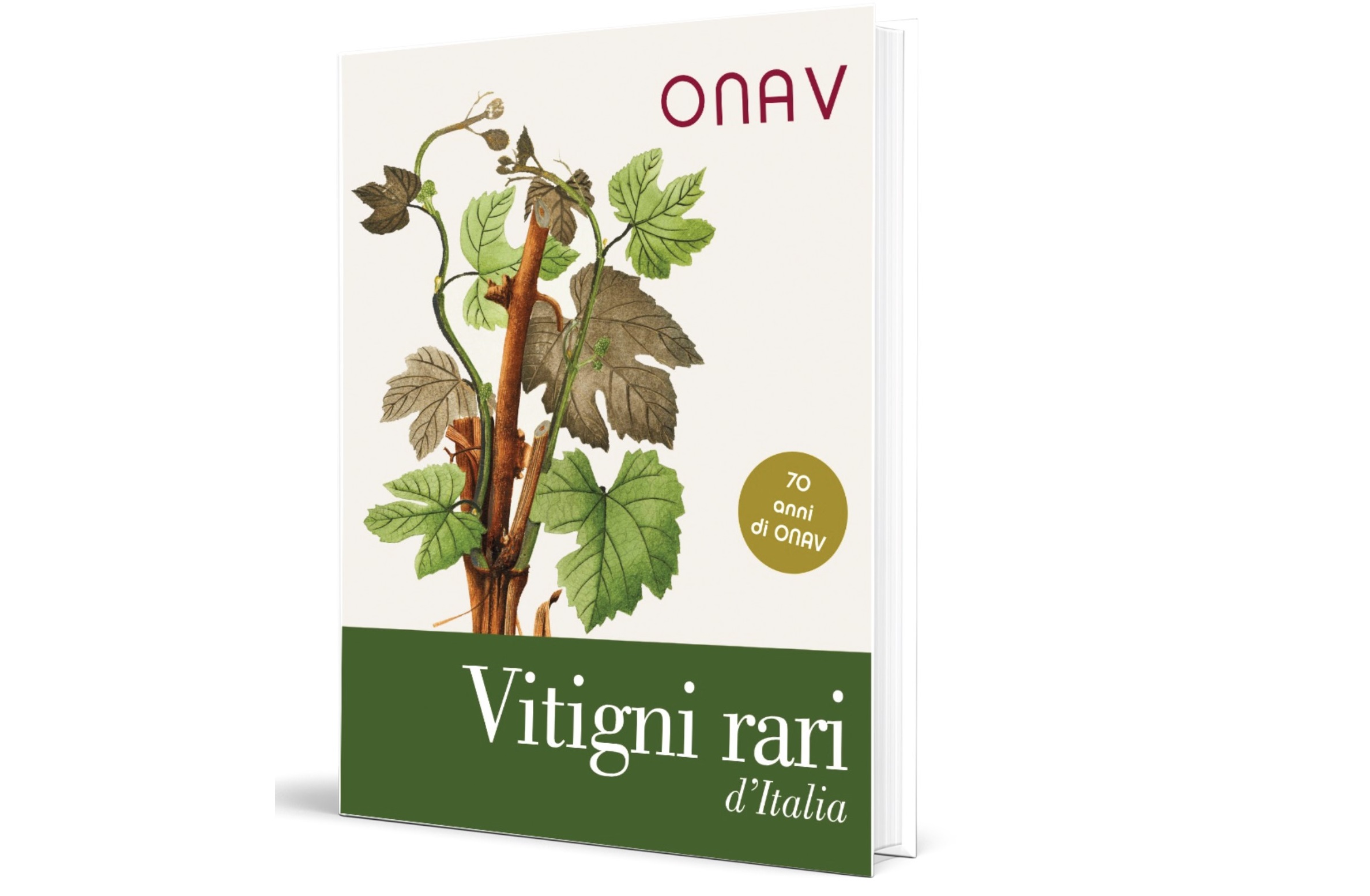 La copertina del libro Vitigni rari d’Italia