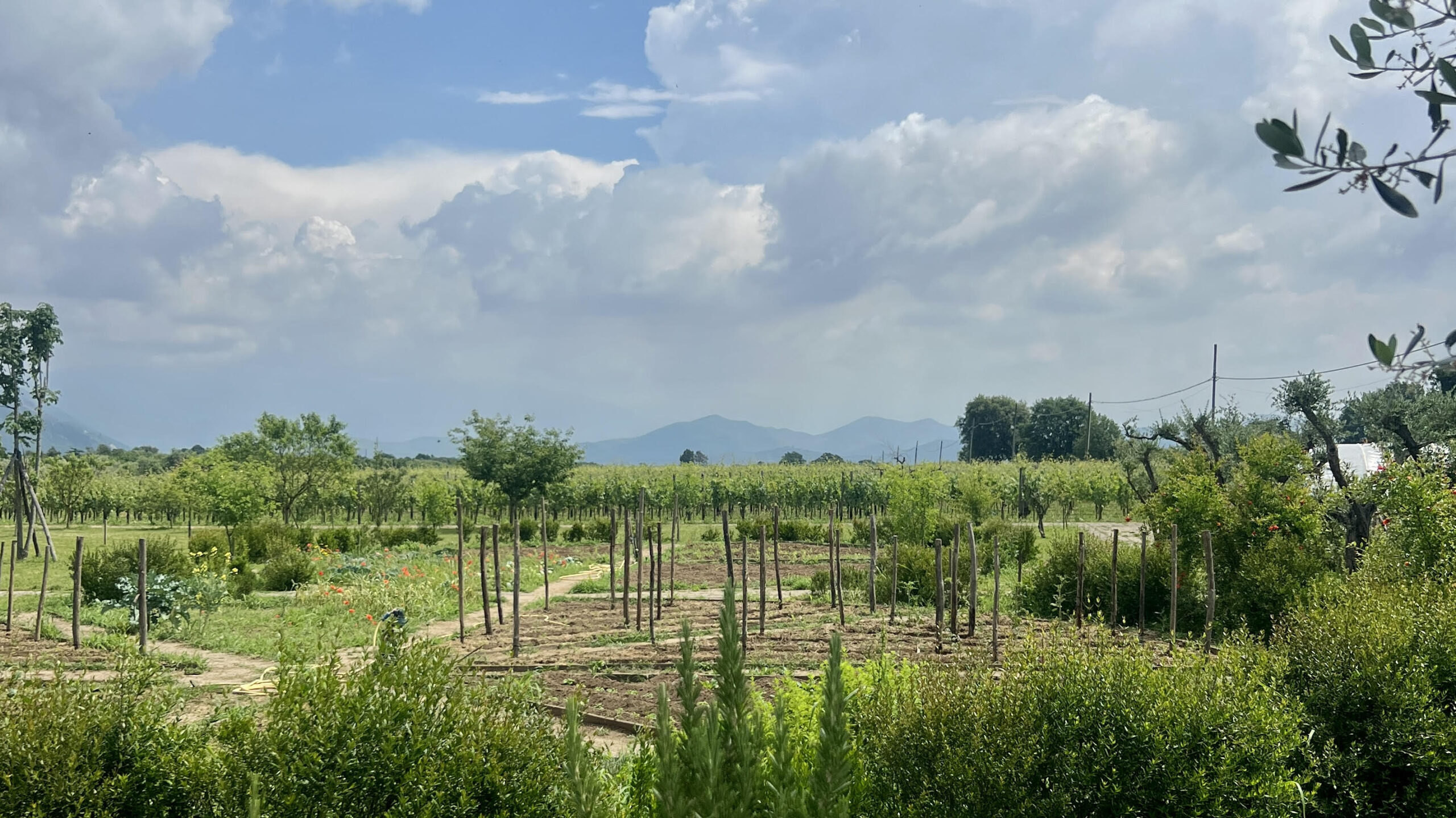 Vista da I Cacciagalli