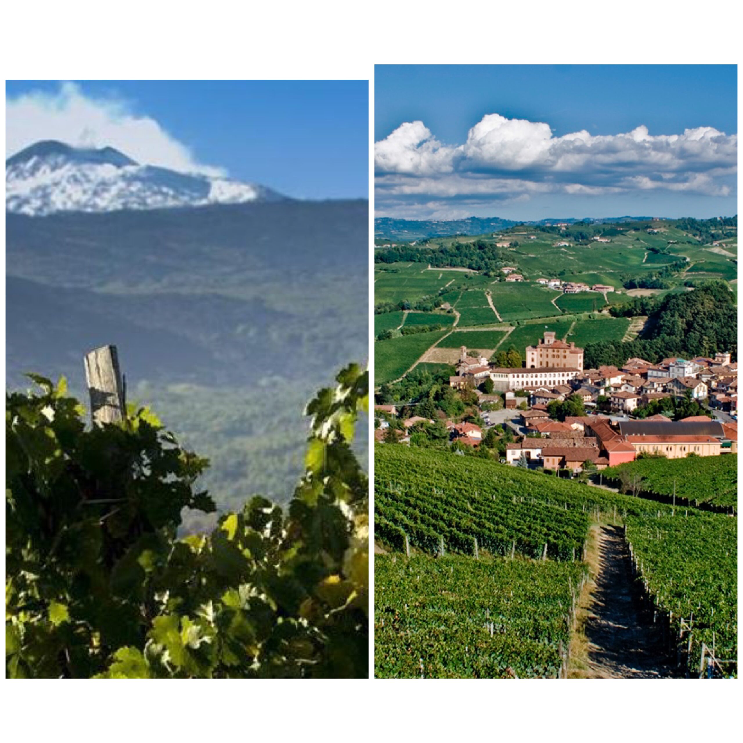 Vigneti Etna e Barolo