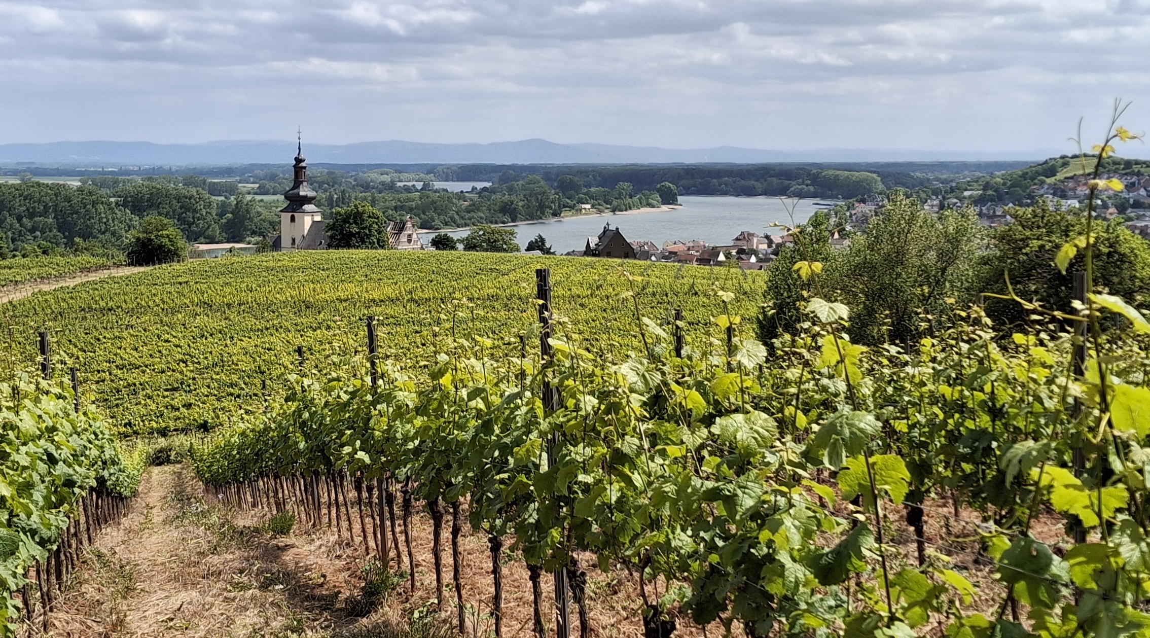 Weingut Kissinger