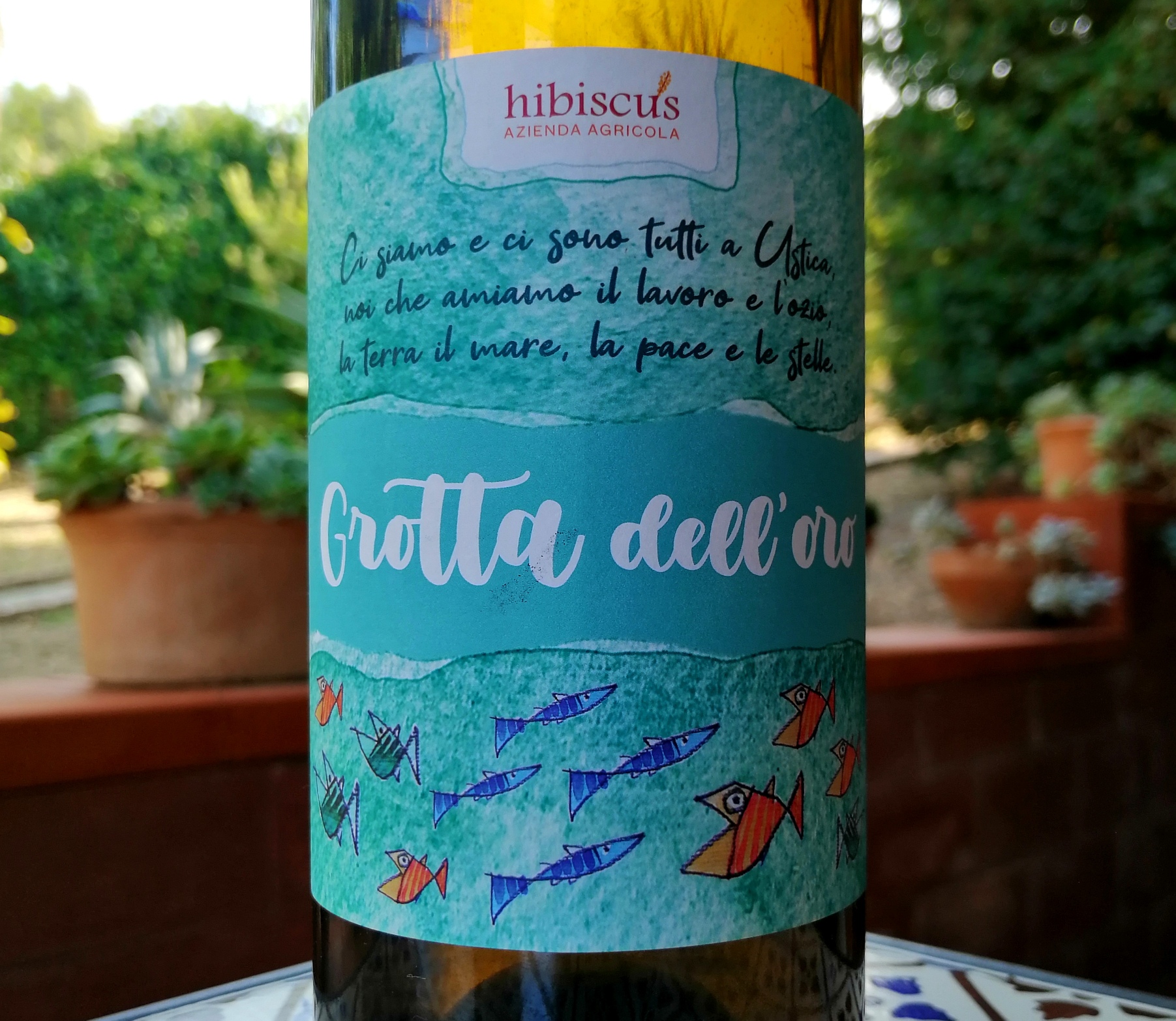 il Grotta dell’Oro di Hibiscus