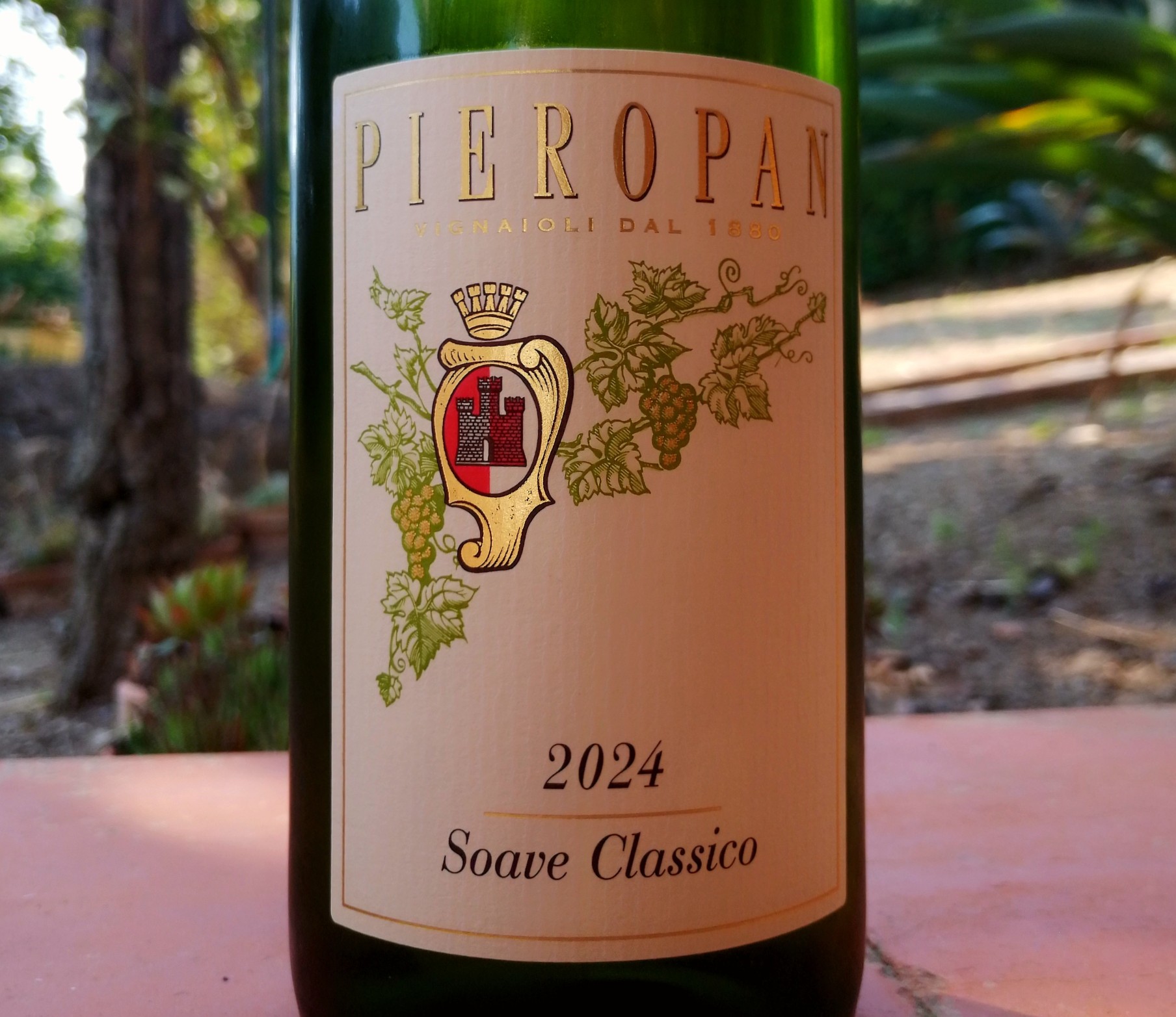 Soave Classico 2024 Pieropan