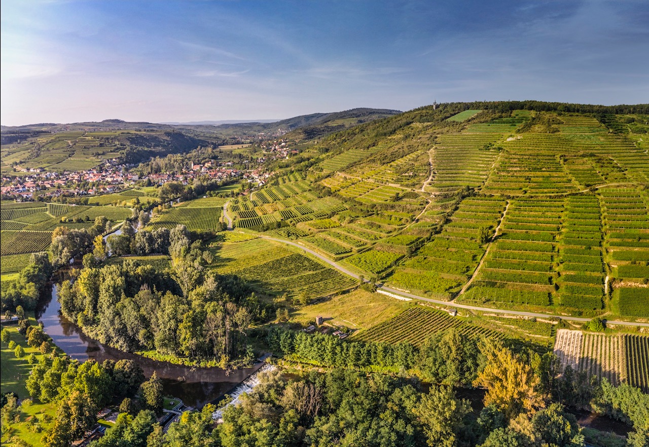 La regione del Kamptal, il Cru “Ried Heiligenstein”. Foto © Austrian Wine