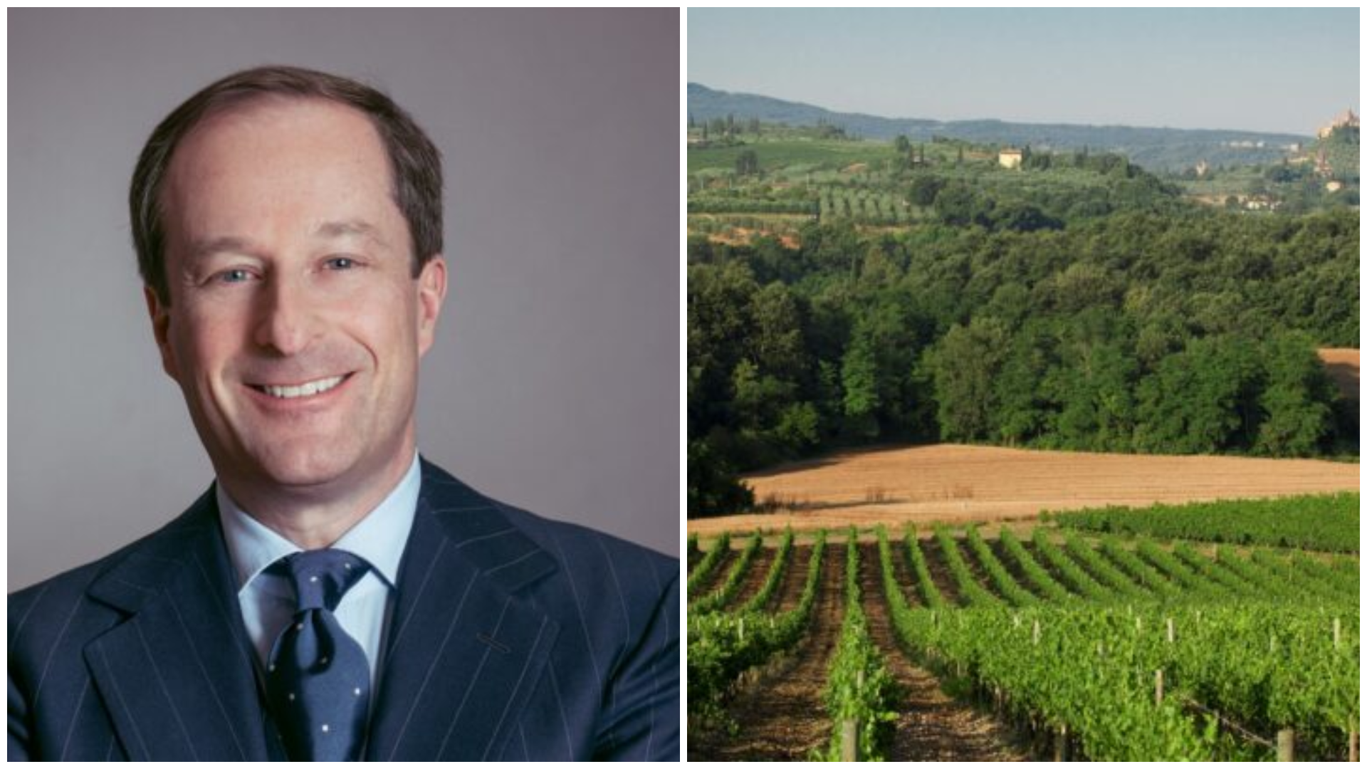 Il presidente di Federvini Giacomo Ponti e alcuni vigneti