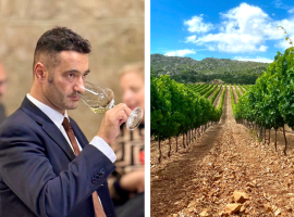 Marco Piro, presidente del Consorzio Vermentino Docg e un vigneto in Sardegna