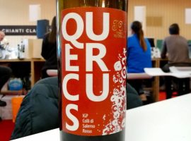 L’etichetta del Quercus 2020 – Tenuta Macellaro