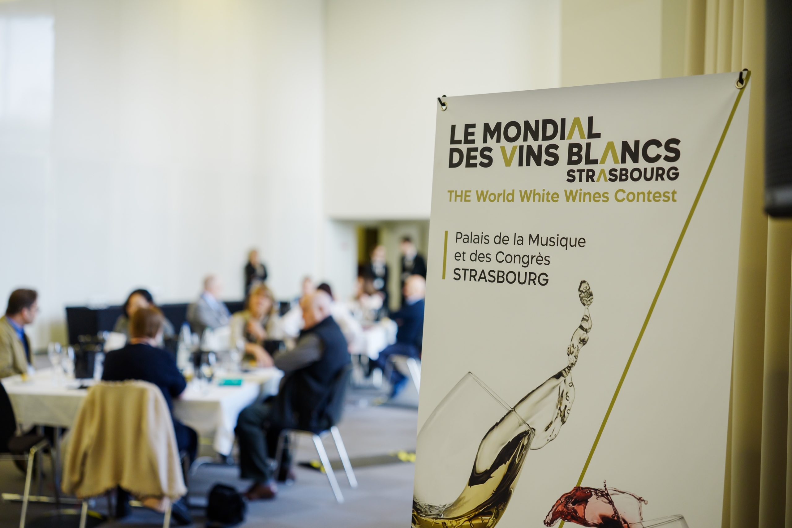 Vini alla ribalta, Italia premiata a Strasburgo: tutti i riconoscimenti