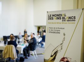 ©Bartosch Salmanski